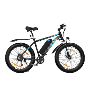 BK15 4.0 Fat Tire Electric Bike