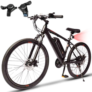 CT100 Electric Bike for Adults