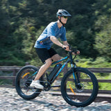 HITWAY BK15 4.0 Fat Tire Electric Bike