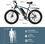 BK15 4.0 Fat Tire Electric Bike