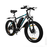 BK15 4.0 Fat Tire Electric Bike