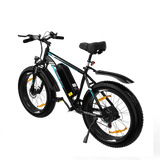 BK15 4.0 Fat Tire Electric Bike