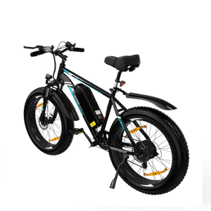 BK15 E-bike Wi t h H IT WAY