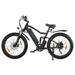 BK9 Electric Bike