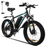 BK15 4.0 Fat Tire Electric Bike