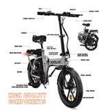 BK5 Folding Electric Bike